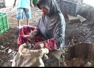 Nurhati Buruh Kupas Singkong