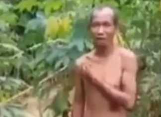 Kakek tertangkap pemilik kebun mencuri singkong.