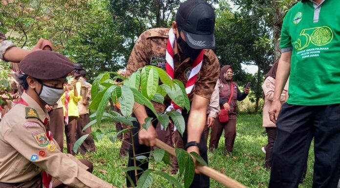 Hari Menanam Pohon Indonesia Kwarcab Kabupaten Bogor