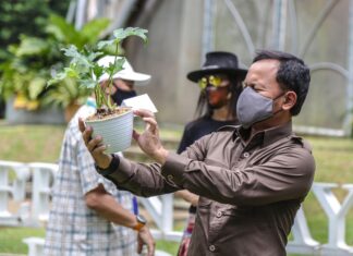 We Own The Earth KRB Ajak Masyarakat Menanam