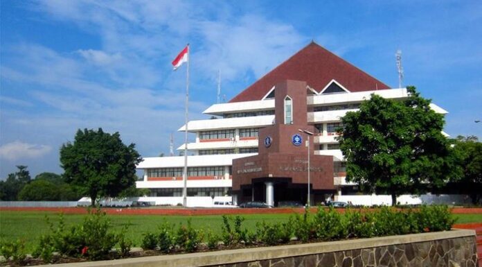 IPB University