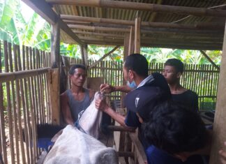 Pengabdian Dosen IPB