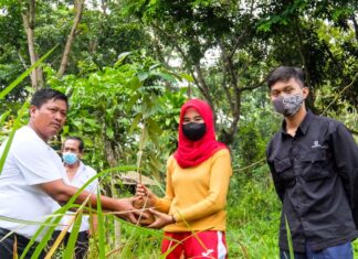 Duta Hukum HAM Tanam Pohon