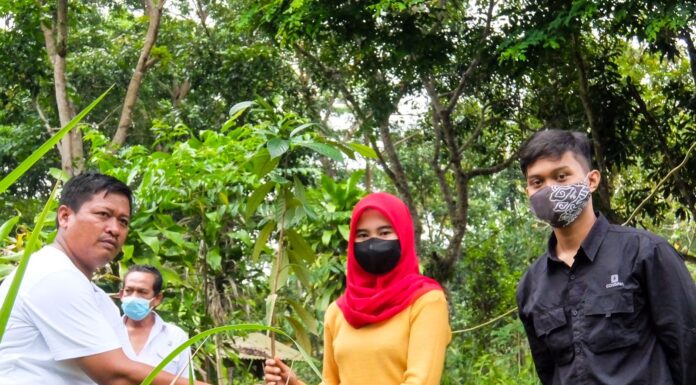 Duta Hukum HAM se-Jawa Barat Serentak Lakukan Penanaman Pohon